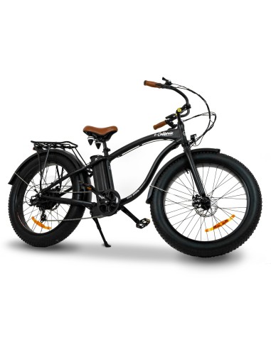 e-california easy-watts - 6