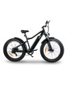 e-trail easy-watts - 2