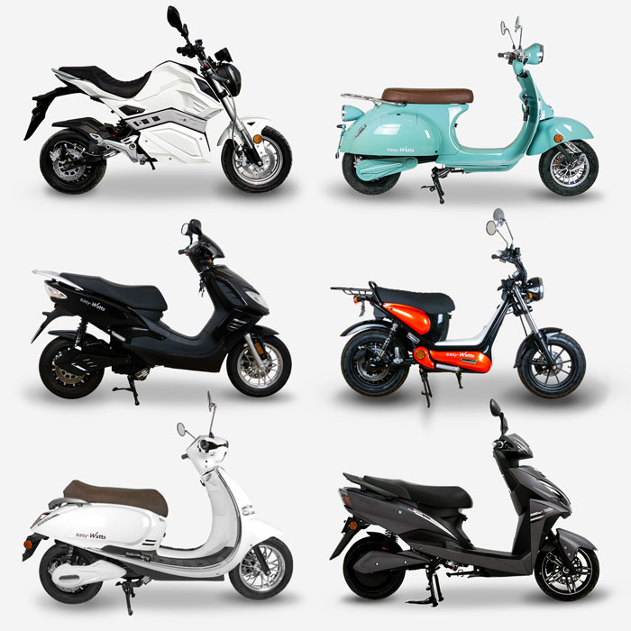 Scooter Électrique À Demi Torsion De Scooter À Demi Torsion Avec